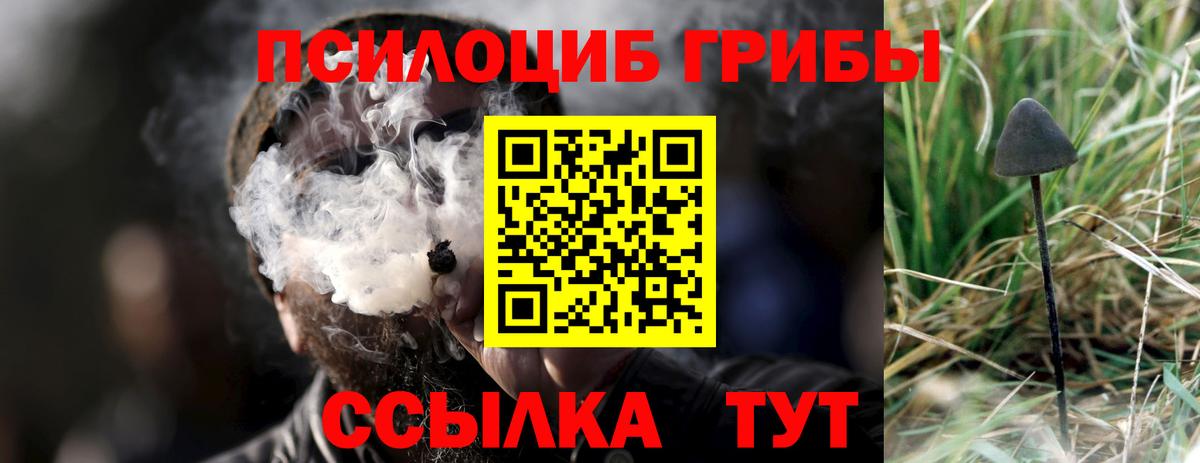 купить наркоту  Вход с VPN  Галлюциногенные грибы мицелий  Глазов  Галлюциногенные грибы Magic Shrooms 